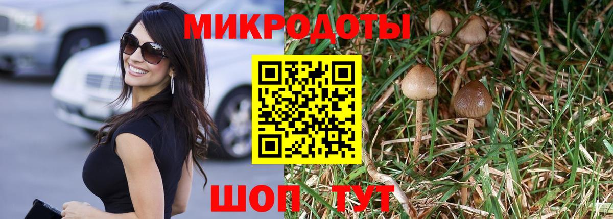 Славянск-на-Кубани  Псилоцибиновые грибы GOLDEN TEACHER  Вход с VPN 